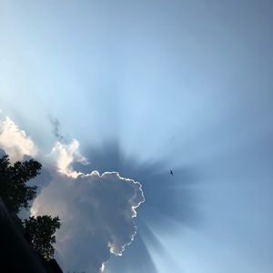 Meet your Posher, Avery